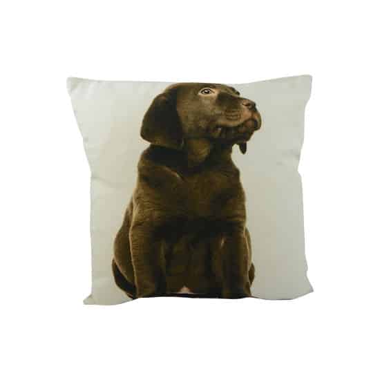 Canvas Doppelseitig Kissen Labrador Braun (33 x 33 cm)