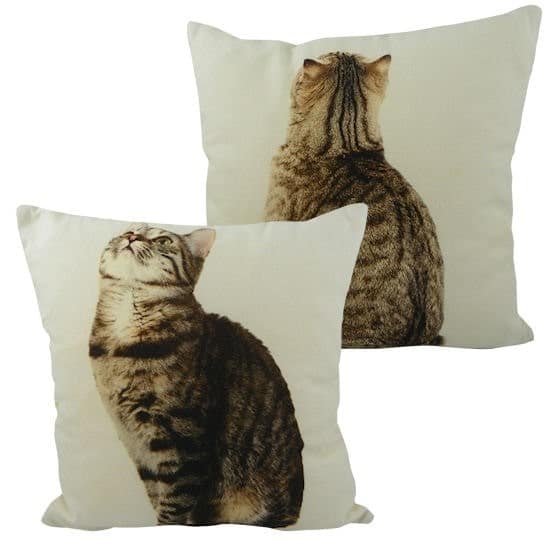 Canvas Doppelseitig Kissen Tabby (33 x 33 cm)