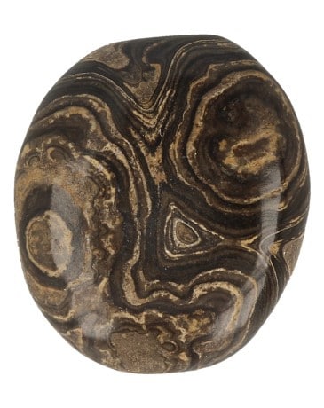 Edelstein Stromatolith Taschenstein klein
