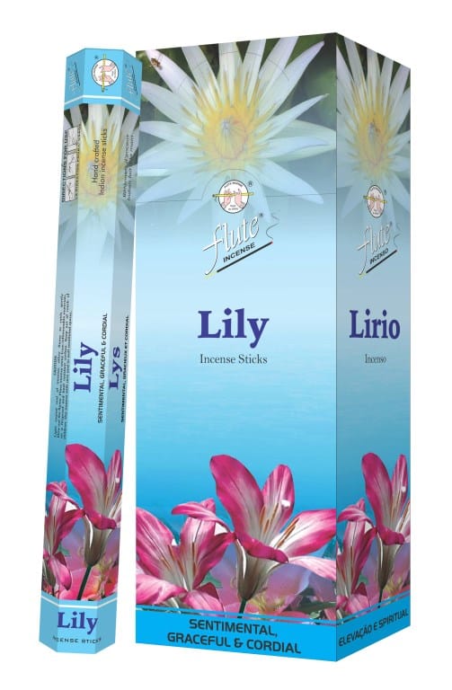 Flute-R-ucherlilie (6er Pack)