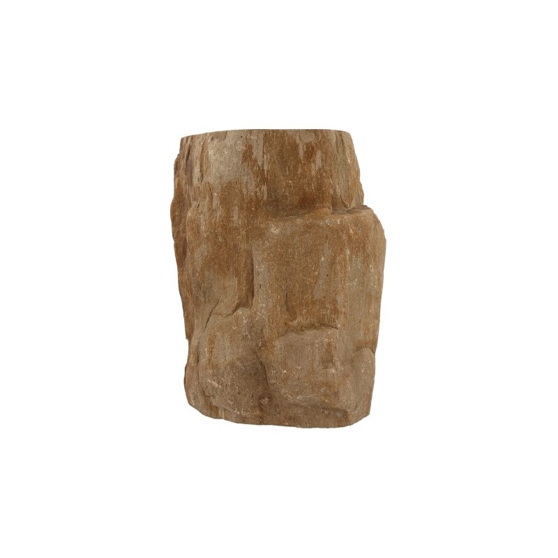 Fossiles Holz aus Java halbgl-nzend poliert (Modell 3)