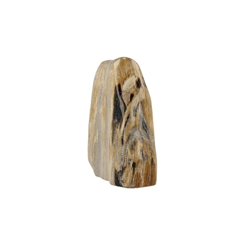 Fossiles Holz Java poliert (Modell 1)
