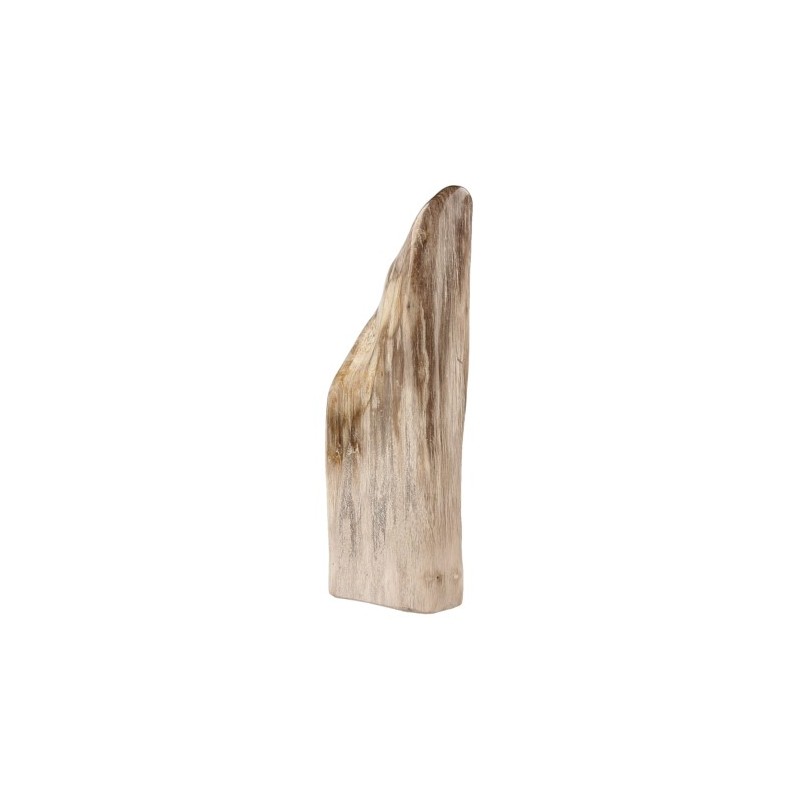 Fossiles Holz Java poliert (Modell 3)