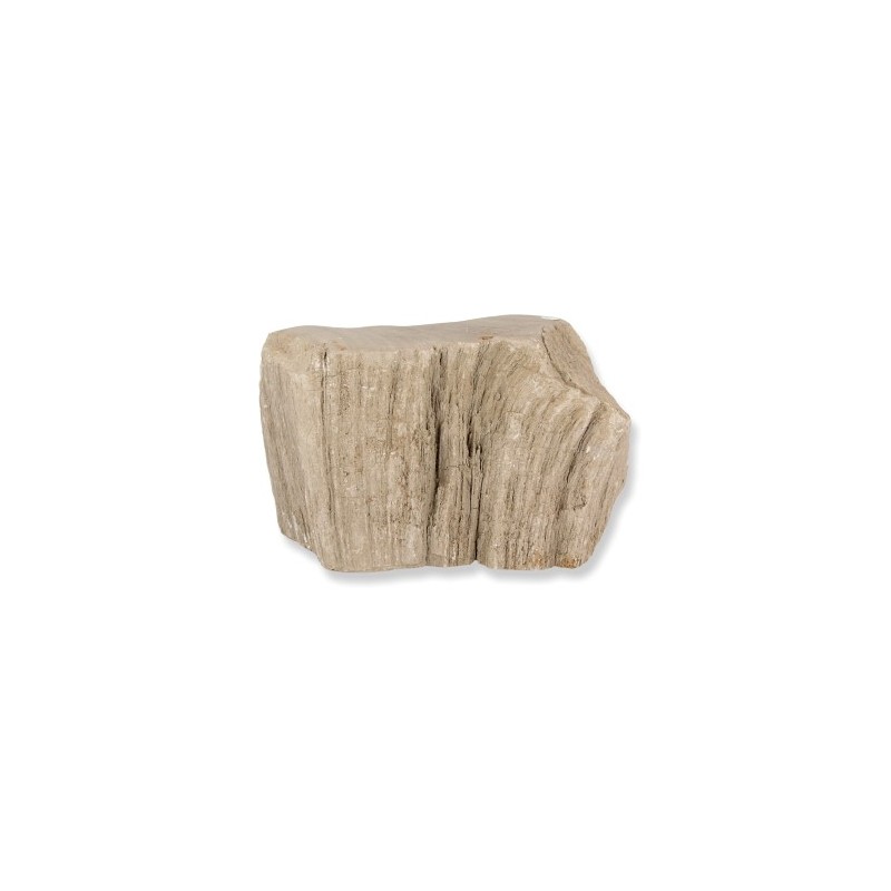 Fossiles versteinertes Holz halbgl-nzend poliert (Modell 4)