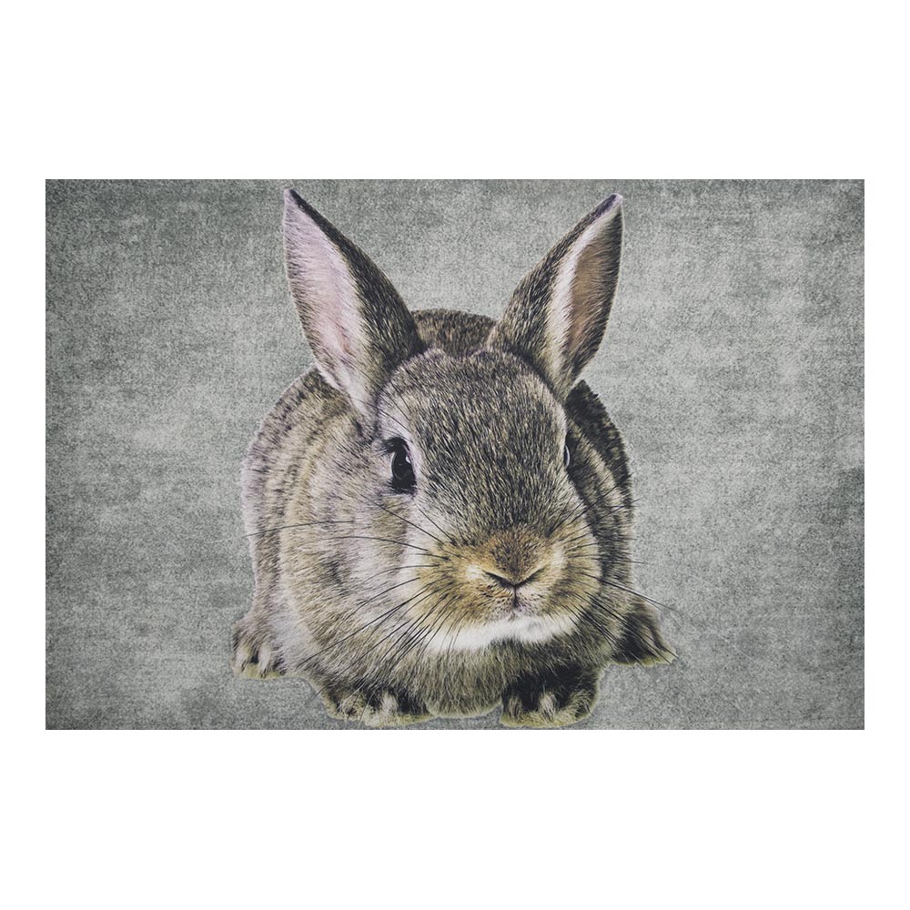Fussmatte Kaninchen (75 x 50 cm)