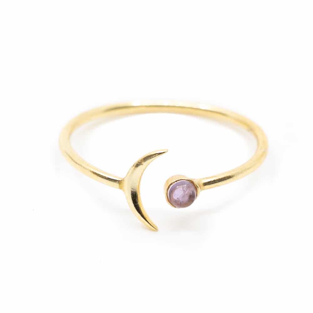 Geburtsstein Mond Ring Amethyst Februar - 925 Silber - verstellbar