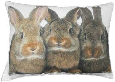 Kissen Leinwand 3 Braune Kaninchen (50 x 35 cm) unter Textilien - Kissen