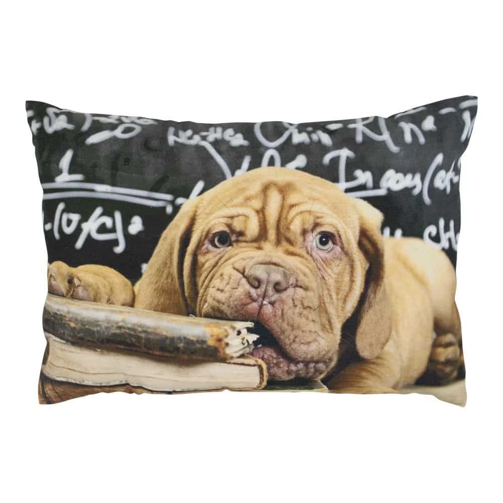 Kissen Leinwand Humor Bordo Hund (50 x 35 cm)