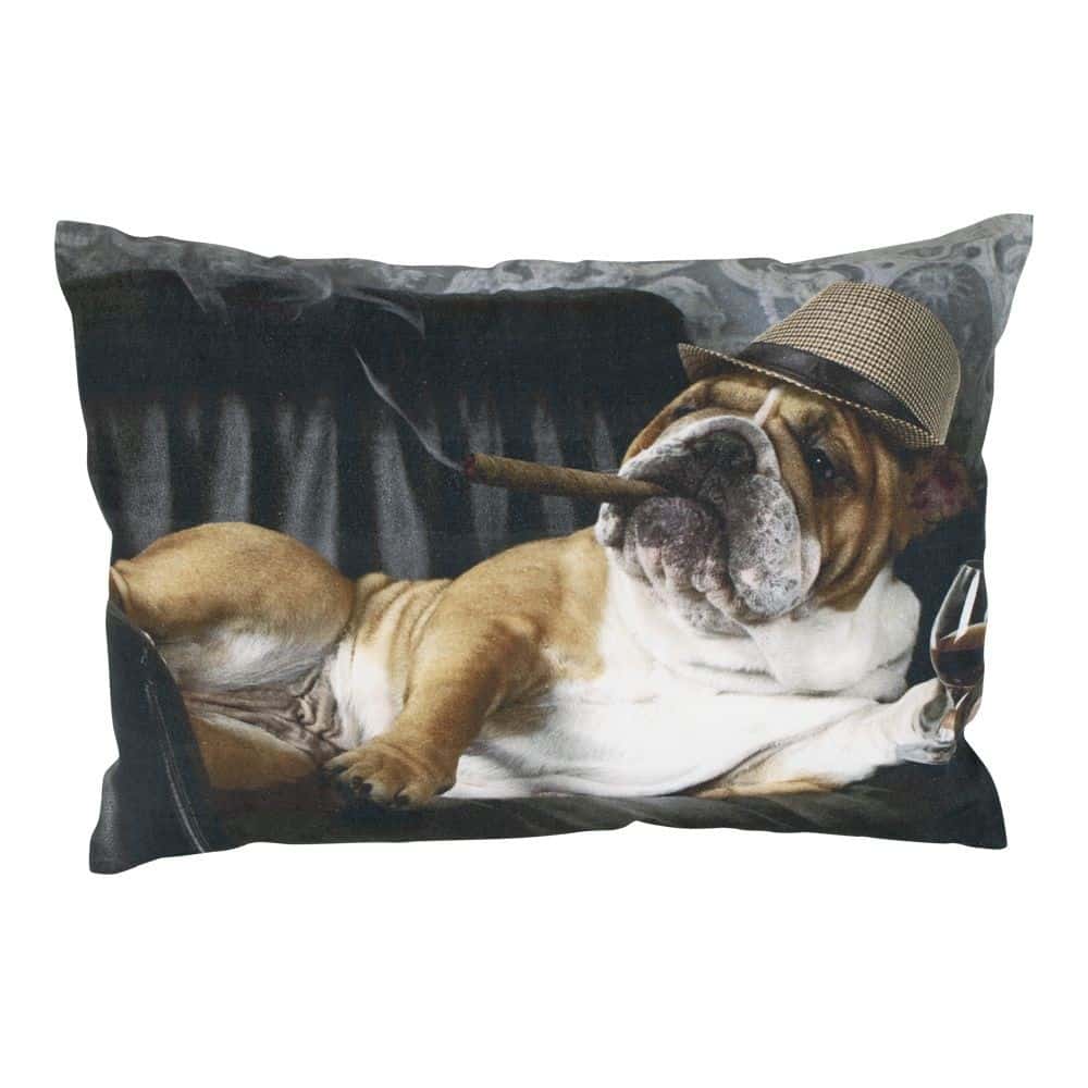 Kissen Leinwand Humor Englische Bulldogge (50 x 35 cm)
