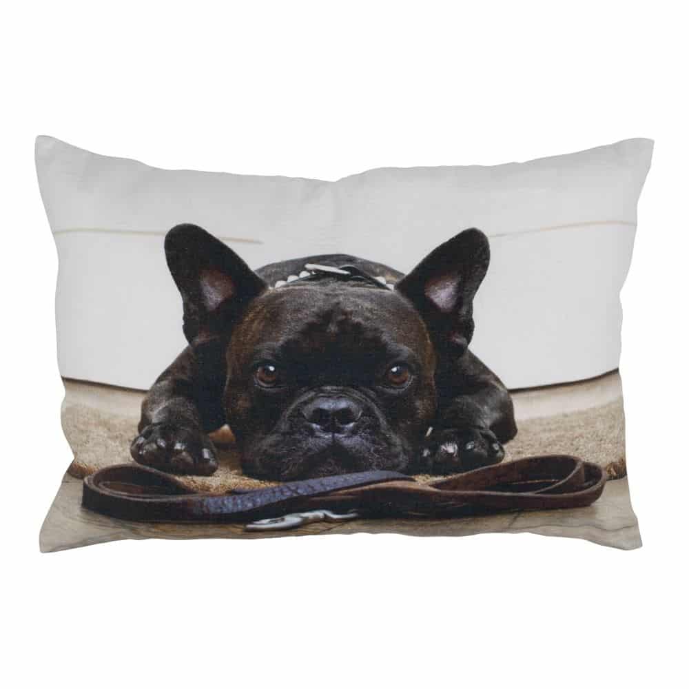 Kissen Leinwand Humor Franz-sische Bulldogge (50 x 35 cm)