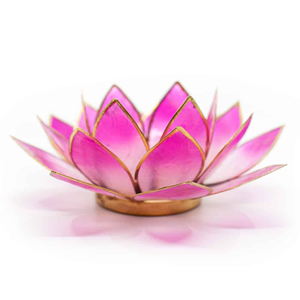 Lotus Atmosph-risches Licht 2-Farbig Wei-Rosa Goldrand