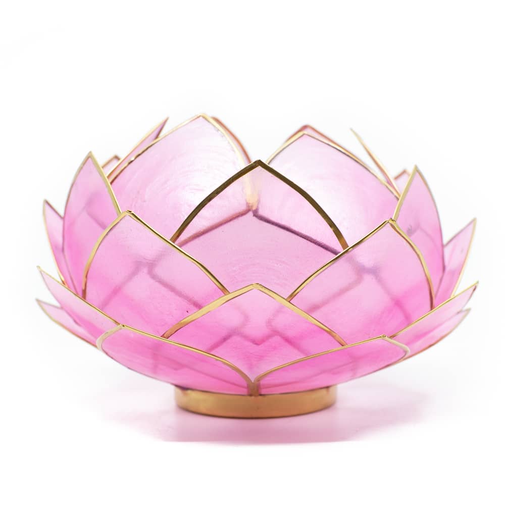 Lotus Atmosph-risches Licht Rosa Goldrand - Gro-