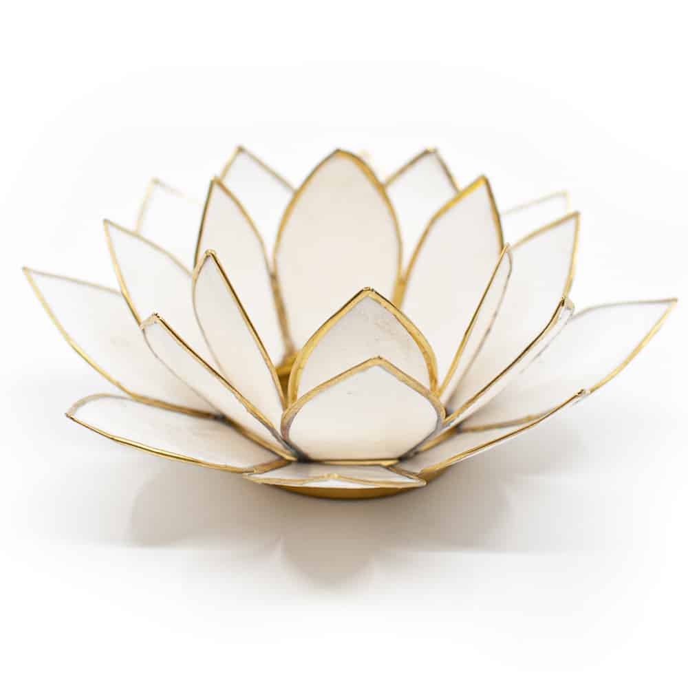 Lotus Atmosph-risches Licht Wei-gold Goldrand