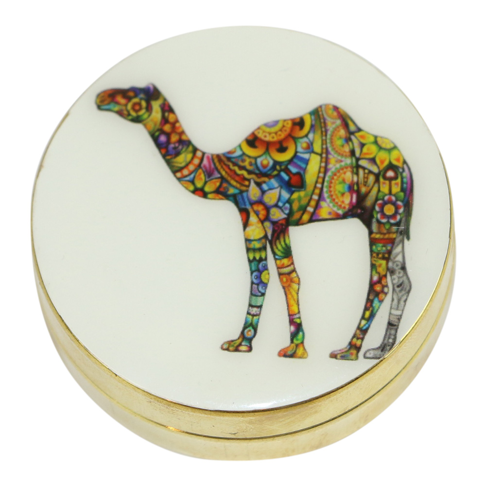 Pillenbox aus Messing Kamel (4-5 x 1-5 cm)