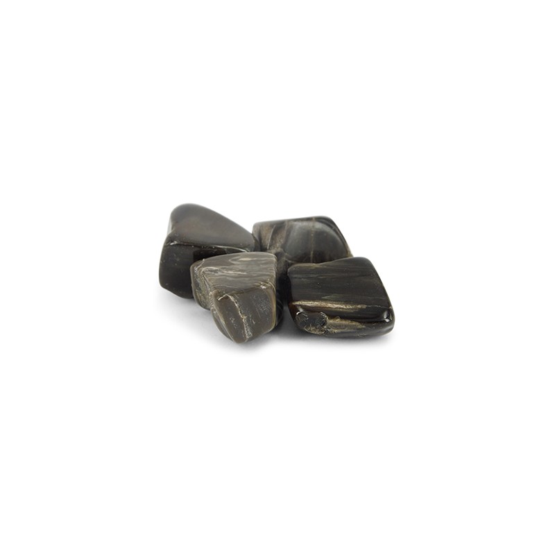 Trommelsteine Fossile Steine (1 kg - 20-40 mm)