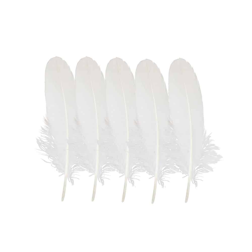 Wei-en Federn Gans - 16-20 cm (5er-Set)