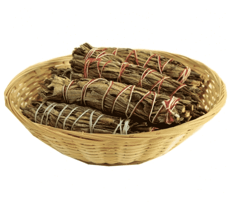 Yerba Santa Smudge klein (12 St-ck in K-rbchen) unter Weihrauch - Smudge - Smudge Sticks